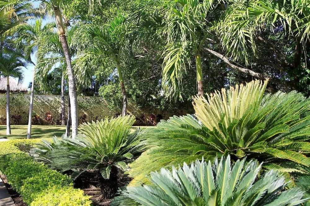 Garden Condos El Batey Δομινικανή Δημοκρατία